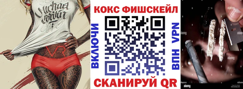 цена наркотик  Заволжье  COCAIN Fish Scale 